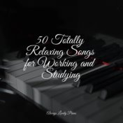 50 Totally Relaxing Songs for Working and Studying