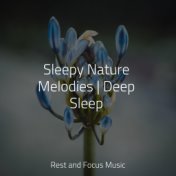 Sleepy Nature Melodies | Deep Sleep