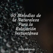 50 Melodías de la Naturaleza Para la Relajación Instantánea