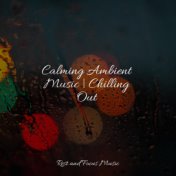 Calming Ambient Music | Chilling Out
