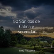 50 Sonidos de Calma y Serenidad