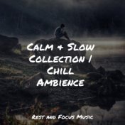 Calm & Slow Collection | Chill Ambience