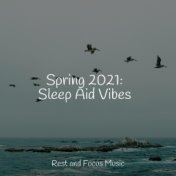 Spring 2021: Sleep Aid Vibes