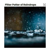 Pitter Patter of Raindrops