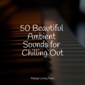 50 Beautiful Ambient Sounds for Chilling Out