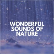 Wonderful Sounds of Nature