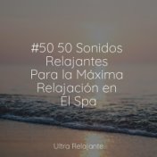 #50 50 Sonidos Relajantes Para la Máxima Relajación en El Spa