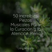 50 Increíbles Piezas Musicales Para la Curación y la Atención Plena