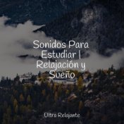 Sonidos Para Estudiar | Relajación y Sueño