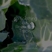 50 Soothing Spa & Relaxation Tracks