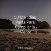 50 Melodías Puras Para Compilar la Mente