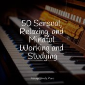 50 Sensual, Relaxing, and Mindful Working and Studying