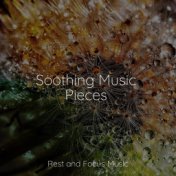 Soothing Music Pieces