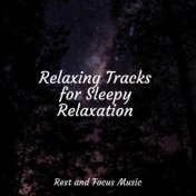 Relaxing Tracks for Sleepy Relaxation