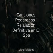 Canciones Poderosas | Relajación Definitiva en El Spa