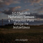 50 Melodías Naturales Suaves y Tranquilas Para Relajación Instantánea