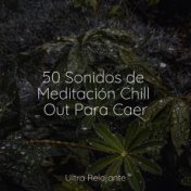 50 Sonidos Para El Spa y la Relajación