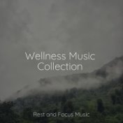 Wellness Music Collection