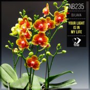 Your Light Is in My Life (Original Mix)