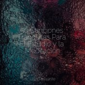 50 Canciones Tranquilas Para El Estudio y la Meditación