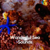 Wonderful Sea Sounds