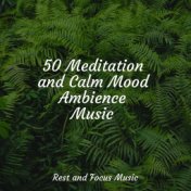50 Meditation and Calm Mood Ambience Music