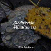 Meditación Mindfulness