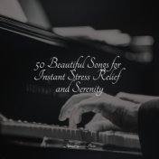 50 Beautiful Songs for Instant Stress Relief and Serenity