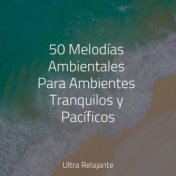 50 Melodías Ambientales Para Ambientes Tranquilos y Pacíficos