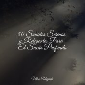 50 Sonidos Serenos y Relajantes Para El Sueño Profundo