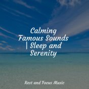 Calming Famous Sounds | Sleep and Serenity