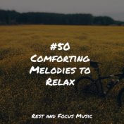 #50 Comforting Melodies to Relax