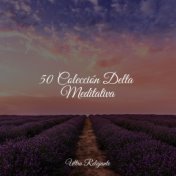 50 Colección Delta Meditativa