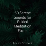 50 Serene Sounds for Guided Meditation Focus