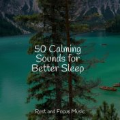 50 Calming Sounds for Better Sleep