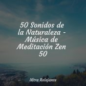 50 Sonidos de la Naturaleza - Música de Meditación Zen 50