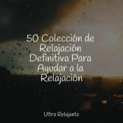 50 Colección de Relajación Definitiva Para Ayudar a la Relajación