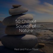 50 Chillout Sounds of Nature