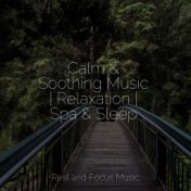 Calm & Soothing Music | Relaxation | Spa & Sleep