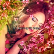42 Journey To Sleep