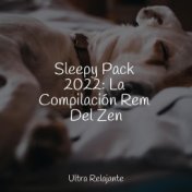 Sleepy Pack 2022: La Compilación Rem Del Zen