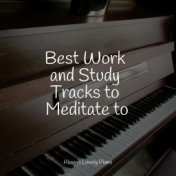 Best Work and Study Tracks to Meditate to