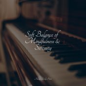 Soft Balance of Mindfulness & Serenity
