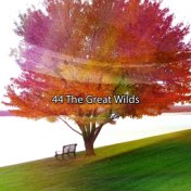 44 The Great Wilds