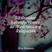 50 Sonidos Reconfortantes de Meditación y Relajación