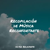 Recopilación de Música Reconfortante