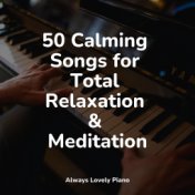 50 Calming Songs for Total Relaxation & Meditation