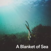 A Blanket of Sea