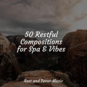 50 Restful Compositions for Spa & Vibes