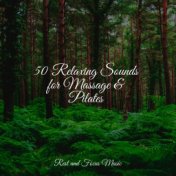 50 Relaxing Sounds for Massage & Pilates